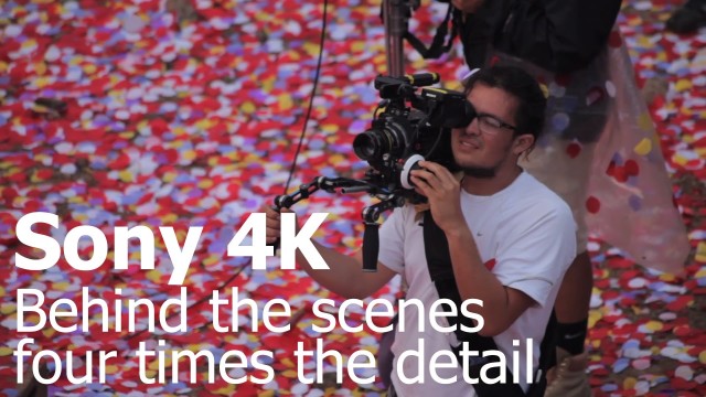 本物の花びら800万枚を使ったCM「Sony 4K – Four times the detail」